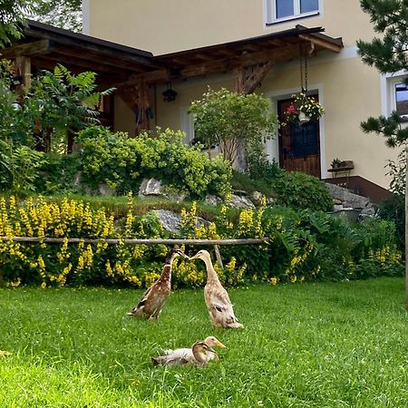 Heissgut Apartment Altenmarkt im Pongau Exterior foto